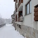 Detelina