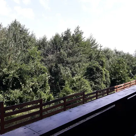 Detelina * 班斯科