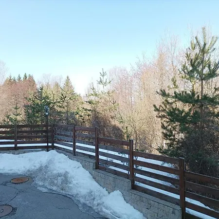 Апартамент Detelina