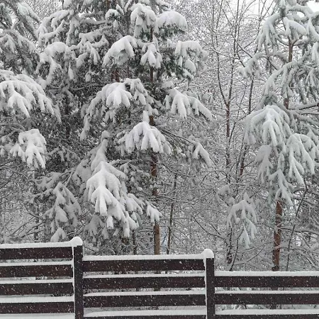 Detelina Апартамент Банско