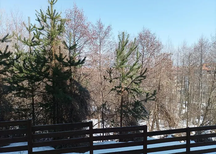 Detelina Апартаменты Банско