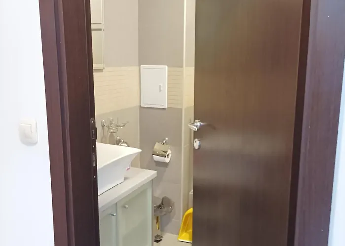 Detelina Апартаменты *