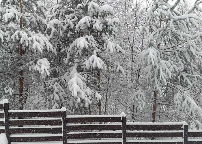Detelina Апартаменты Банско