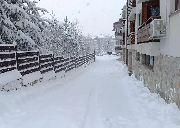 Detelina Банско