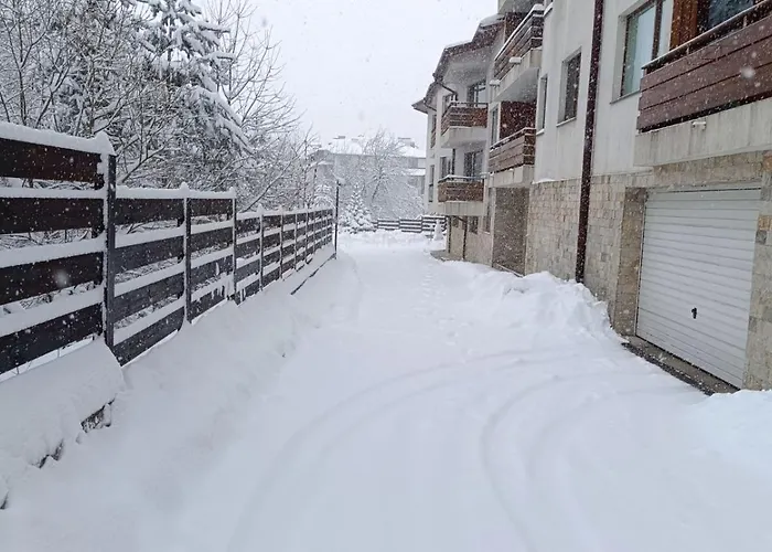 Detelina Апартаменты *