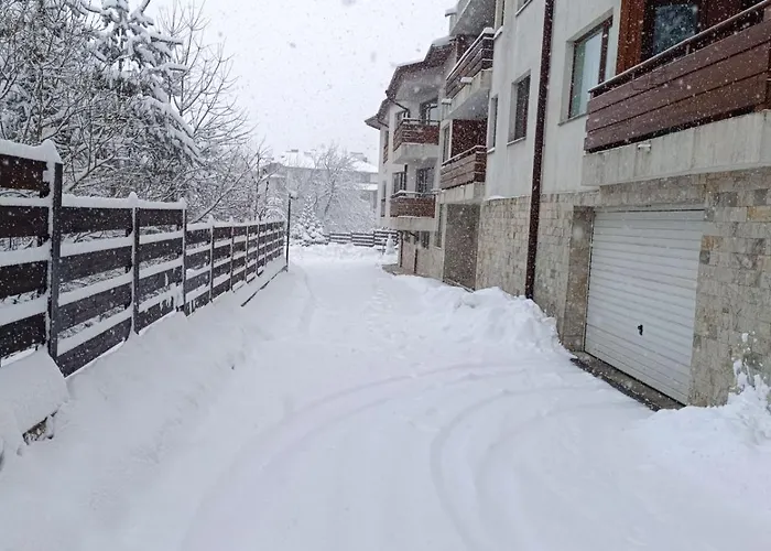 Апартаменты Detelina *