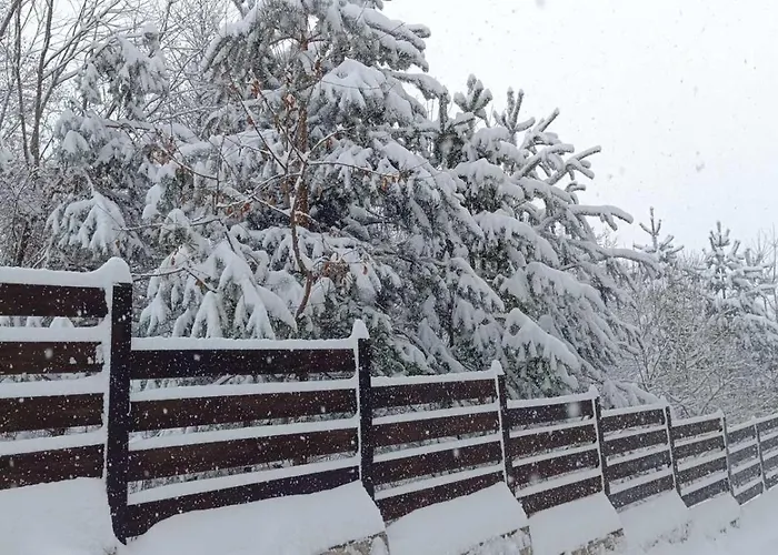 Detelina Апартамент Банско