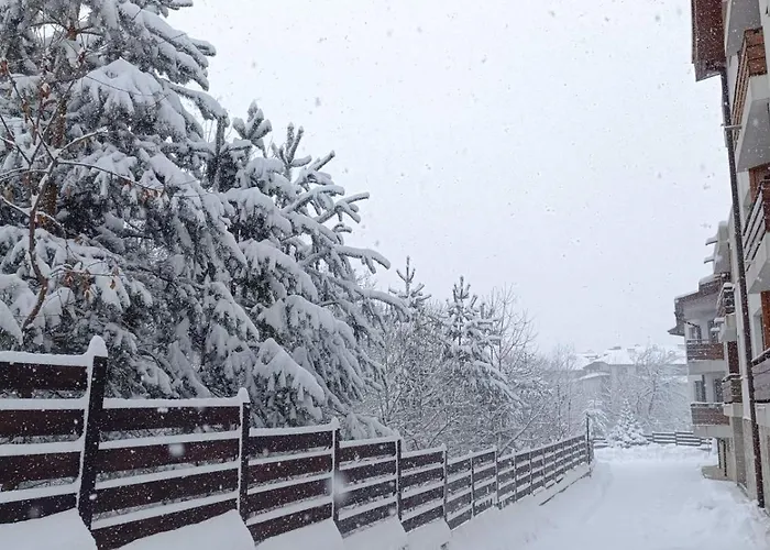 Detelina Апартаменты